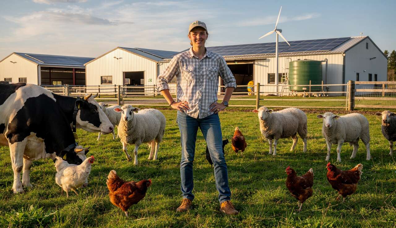 Carrière après un stav : bts productions animales, opportunités et débouchés